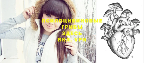 спайс Коряжма