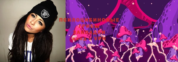 дмт Костерёво