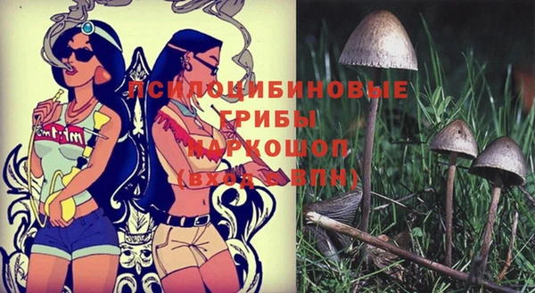 спайс Коряжма