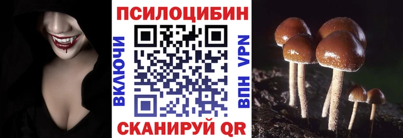 наркошоп  Тутаев  Псилоцибиновые грибы Psilocybe 