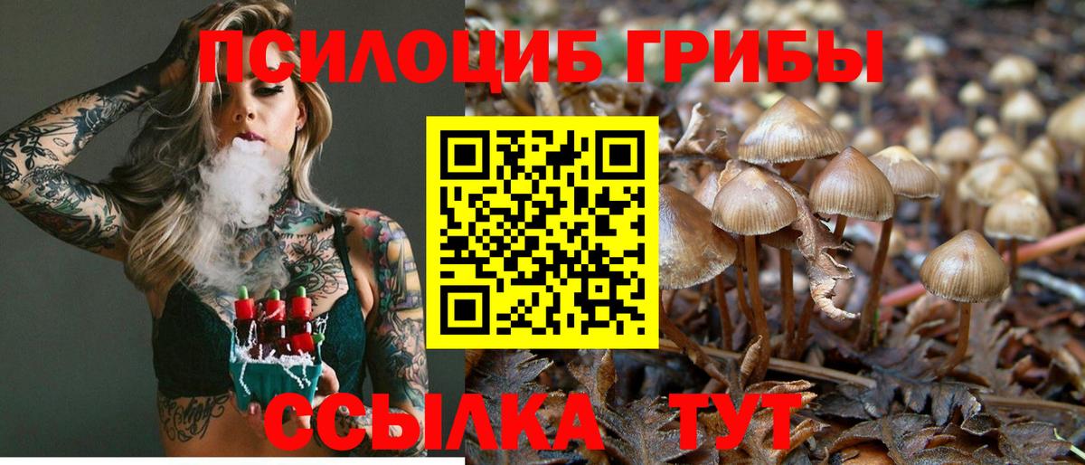 Тутаев  Псилоцибиновые грибы Magic Shrooms  Вход с VPN 