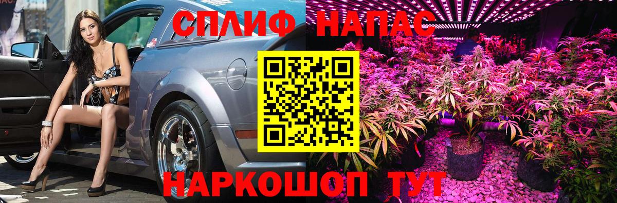 Марихуана семена  МАРИХУАНА Ganja  Тутаев  Конопля ГИДРОПОН  Бошки Шишки семена 